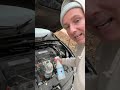 How to get squirrels and mice out of your car engines motor naturally