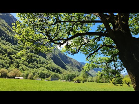 Grono,Cama im Mesocco- Alphornfestival Grono 2025