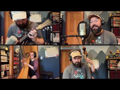 Black Water Lilies - AURORA (Mini Cover)