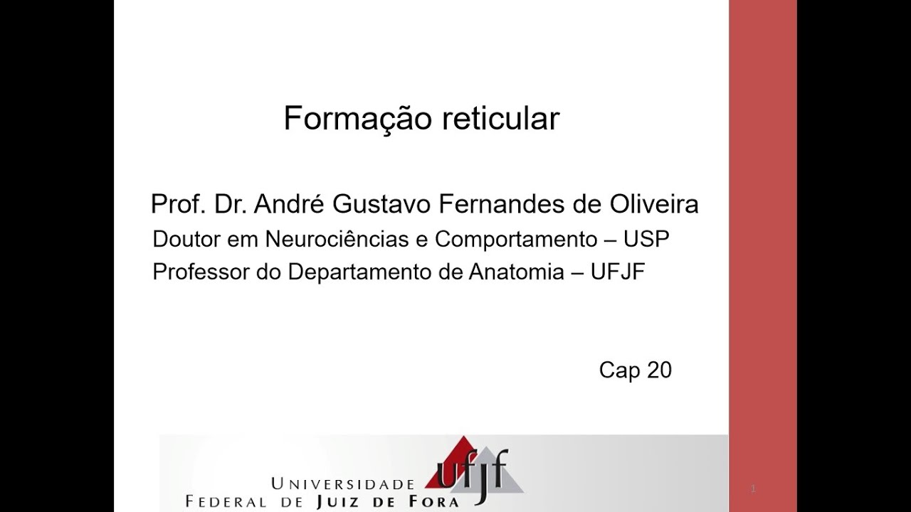 Formação Reticular