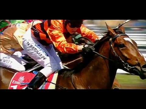 2017 Gold Coast National Broodmare Sale Day 2