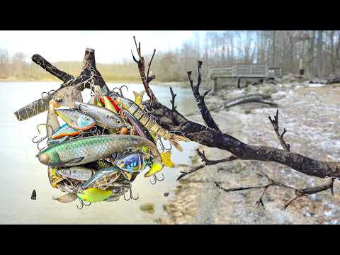 Fishing Lures GALORE in this Drained Lake!