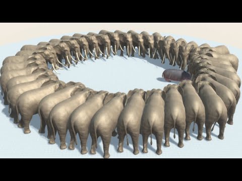 Every Unit surrounded by ELEPHANTS - Animal Revolt Battle Simulator