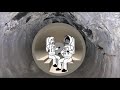 Mother S Voice By Vasil Berezhnoy Supplementary Given For Ninth Standard In Tamil