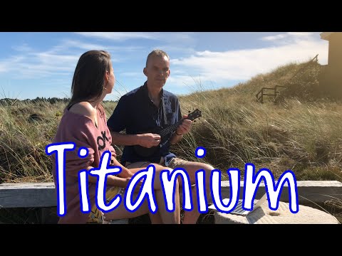 Titanium (Ukulele Cover)