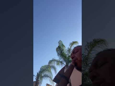 Maya Drone Healing Flute Prayer 432hz Low E