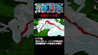 アニメ「#ONEPIECE」見放題配信への追加は木曜日‼️1177話‼️ #onepiece #原撮