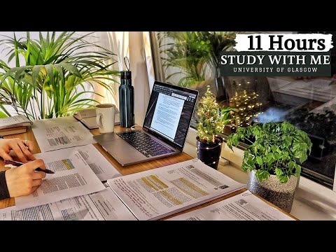 11 HOUR STUDY WITH ME on a RAINY Night | Background noise, Rain Sound,10-min break, No Music, Merve