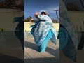 कमरिया डोले डोले डोले राजा जी Viral Trending Lol Com