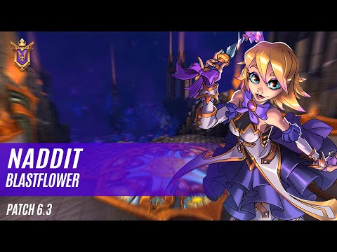 NADDIT WILLO PALADINS COMPETITIVE (PATCH 6.3) BLASTFLOWER