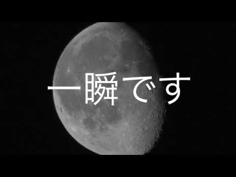 宇宙からの動物保護: ISS の新しいアンテナ