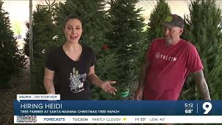 Hiring Heidi: Christmas Tree Farmer