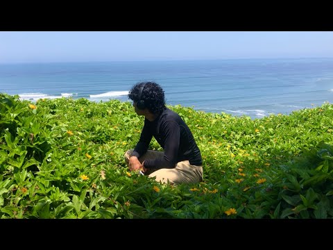 LEXXTER - PANAMERIKANO