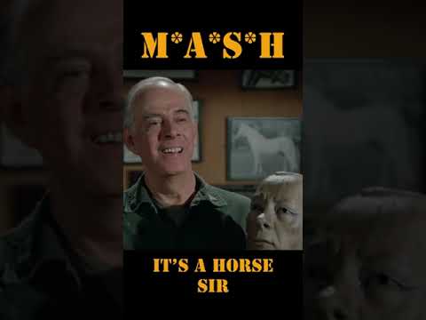 MASH 4077 It's a horse sir