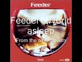 World Asleep - Feeder
