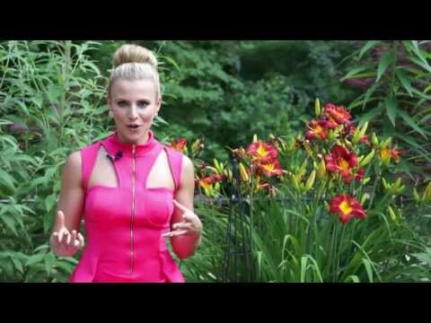 2013 Miss Teen USA - Massachusetts - Madyson Milordi