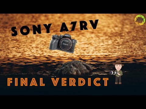 SONY A7RV - Abschliessende Meinung zur Anwendung in der Wildlifefotografie
