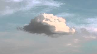 John Adams: Shaker Loops I