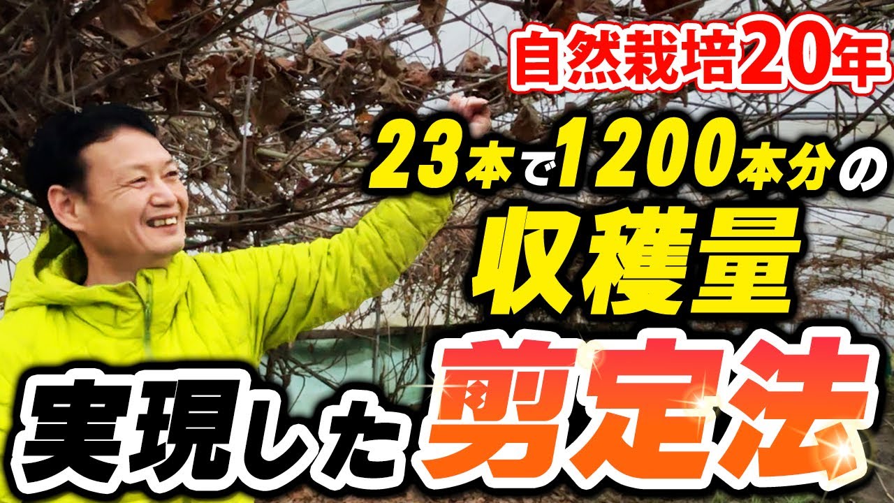 果樹を豊作にする切らない剪定の極意