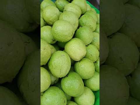 Fresh Guava -Traditional Food