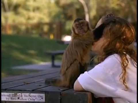 Monkey Trouble Trailer