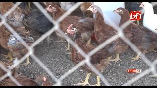 PAPEA - Komsilga : les entreprises accompagnées reçoivent la visite du Conseil régional du Kadiogo