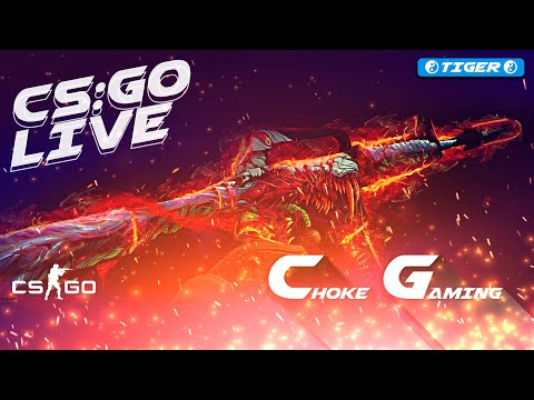 🔴 CSGO LIVE | CGPL Season 2 Coming Soon | Mouse Pad Announcement | Faceit/5E Grind | Choke Gaming