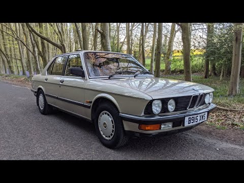 BMW E28 - Cold Start and Saying Goodbye