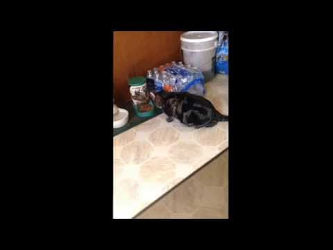 OCD Zayd eating/drinking habits (Raymond Video)