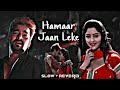 Hamaar Jaan Leke Slow Reverb Sad Lofi Song Pawansingh Lofimusic Bhojpuri Sad Lofi Editz Boss
