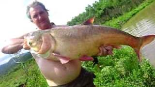 preview picture of video 'pescaria carpa 20 kg'