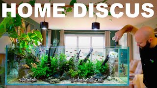 Building A Home Discus Aquarium (EP4)