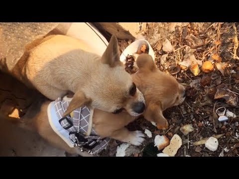 Tears rolled down her cheeks, she hugged her child in her arms after many days of separation