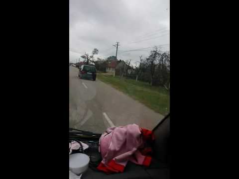 Furtuna din susani judetul timis