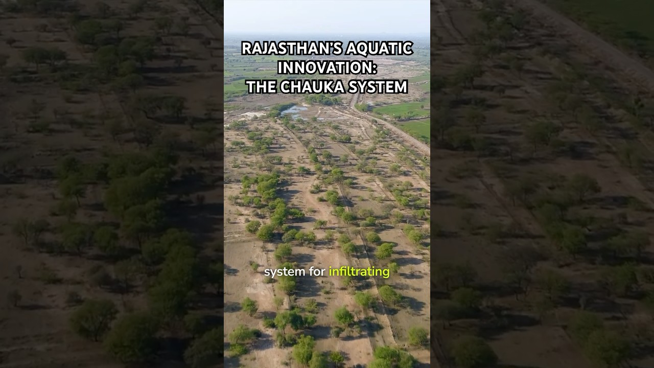 Rajasthan's Aquatic Innovation: The Chauka System Unveiled