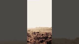 Download lagu Catatanku ~ Melly goeslaw Story lirik lagu #shorts #covermusik mp3