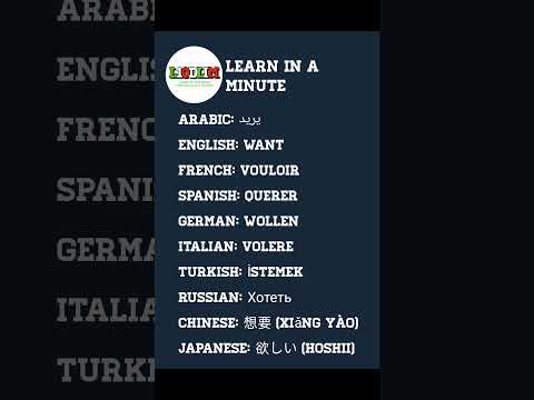 Learn How to Say Different word every day in 10 Languages – Quick & Easy! 🌍✨