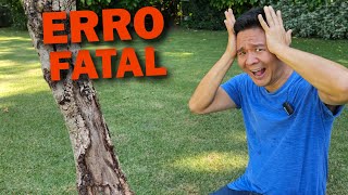 Miniatura do vídeo