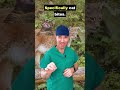 HAND DOC Did You Get Bit By An Animal Animals Bite Handsurgeon Finger Infection