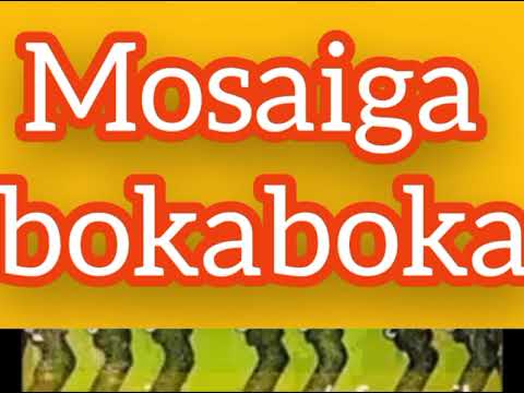 mosaiga bokaboka