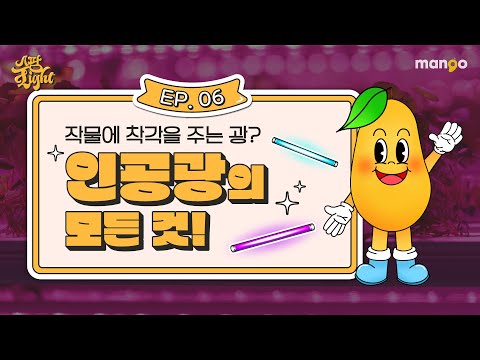 스마트팜 인공광의 이야기를 쫙쫙 모아놓은 [스팜 Light] EP.06