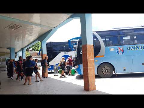 Anuncian nuevo procedimiento para viajes interprovinciales en ómnibus y trenes