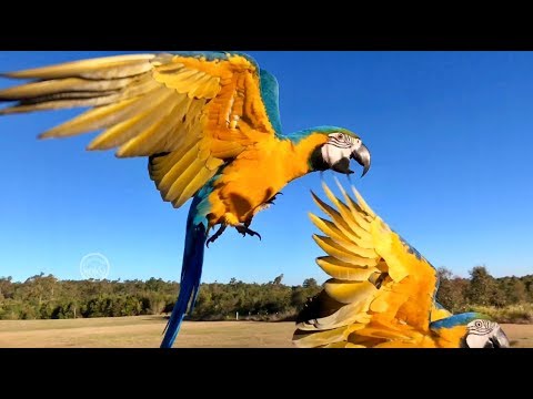 Roku & Khyber Fun 1_5