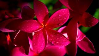 Download lagu B. Red - Take my heart mp3