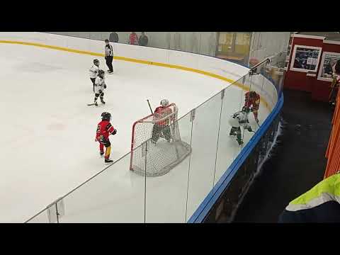 U10-Veszprém 2022.03.19 VUA Pandák-Szombathelyi Pingvinek 1/2