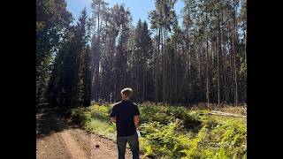 The importance of a Walking Habit