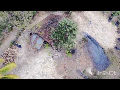 Molienda Los Villalta, Cantón San Luis Arriba, Mercedes la Ceiba, La Paz.