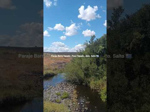 #ArroyoDelTapadoDepartamentoDeSaltoUruguay . Cam. entre Cerro de Vera y Arerungua 🇺🇾 . Videitos