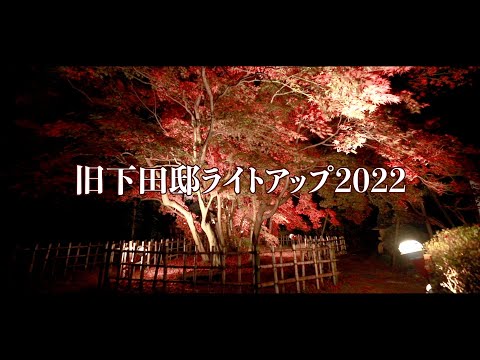 Iluminación de hojas de otoño en el jardín japonés Takasaki, parte 2