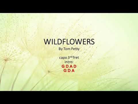 Wildflowers - Tom Petty